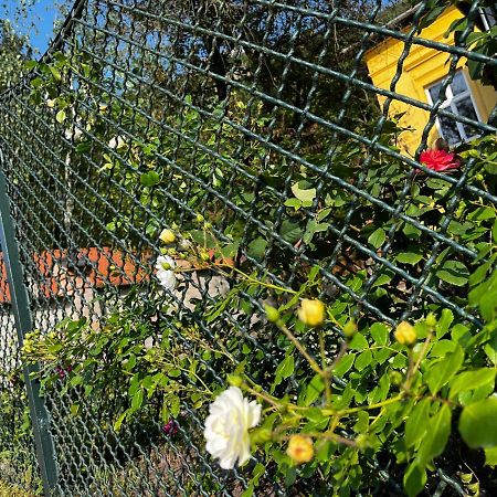 Apartmentvillasolomon7 Visegrád Exteriör bild