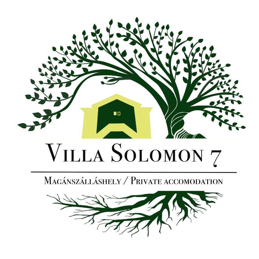 Apartmentvillasolomon7 Visegrád Exteriör bild