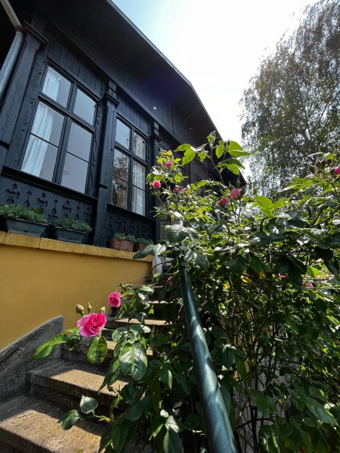 Apartmentvillasolomon7 Visegrád Exteriör bild