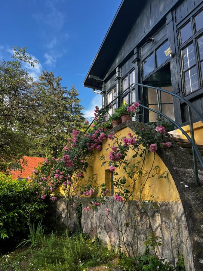 Apartmentvillasolomon7 Visegrád Exteriör bild