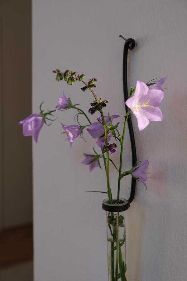 Apartmentvillasolomon7 Visegrád Exteriör bild